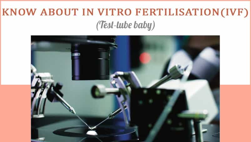 Test Tube Baby & IVF Treatment