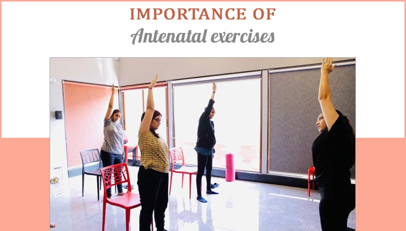 antenatal exercises in pregnancy